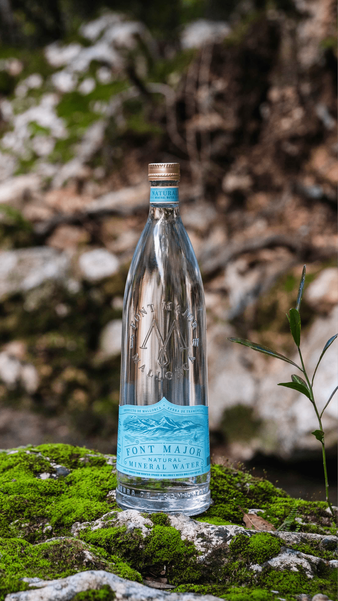 botella agua